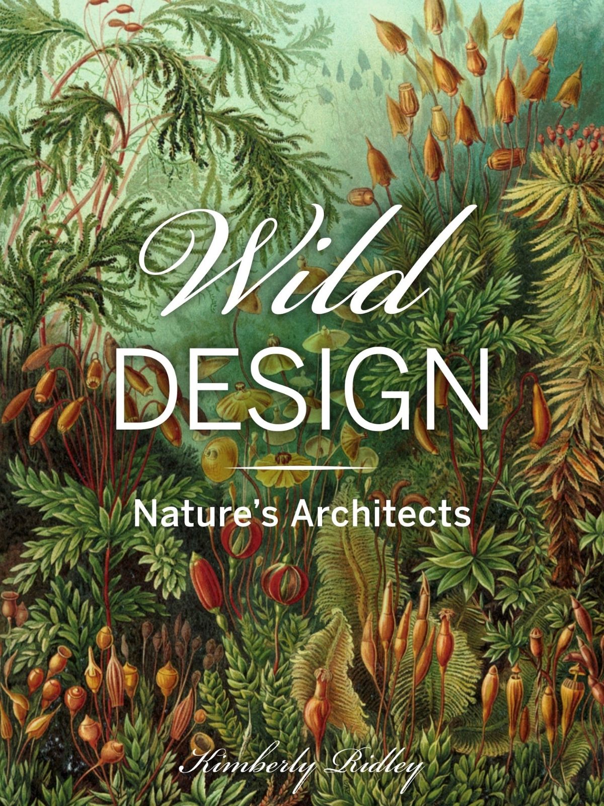 Lose Yourself in these Mesmerizing Vintage Illustrations of the Natural World - wild design - kimberley ridley on thursd